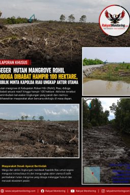 Geger Hutan Mangrove Rohil Diduga Dibabat Hampir 100 Hektare, Publik Minta Kapolda Riau Ungkap Aktor Utama