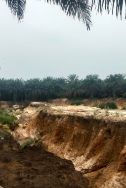 Tambang Galian C Ilegal Milik Pengabean di Tapung Diprotes Warga, Kapolda Riau Ditantang Bertindak Tegas