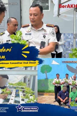 Kurang dari Sebulan, LPKA Tenggarong Panen Selada Hasil Pembinaan Kemandirian Anak Binaan